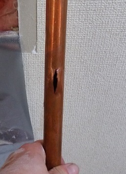 IMG_20210206_124448.jpg