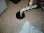 C5C5B5A4B2B9BFE5B4EFC7D3BFE5BDA4CDFDC1B0-thumbnail2.jpg