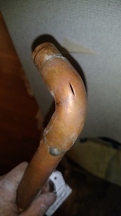 IMG_20210209_125544.jpg