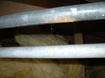 BFE5C6BBC7DBB4C9BDA4CDFDC1B0-thumbnail2.jpg