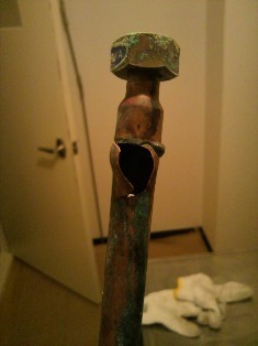 2011031818340000.jpg