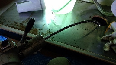 IMG_20170617_105906.jpg