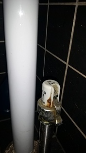 20141002_120813.jpg