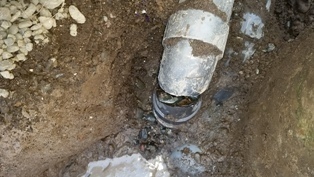 20141023_113158.jpg