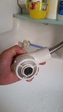 20150819_104545.jpg