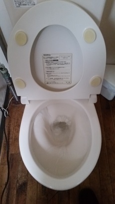 20160330_140404.jpg
