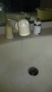 IMG_20210211_104327.jpg
