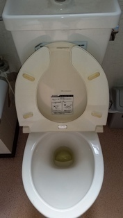 20140823_134643.jpg