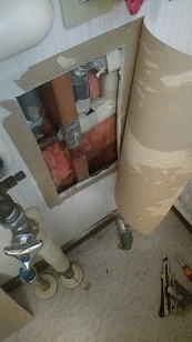 IMG_20210206_171005.jpg
