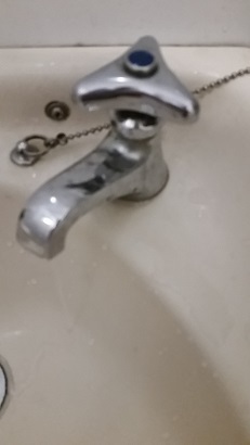 20150701_190534.jpg