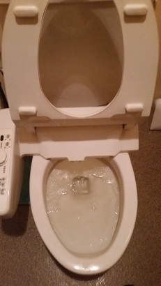 20160330_151045.jpg