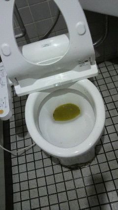2012111714160000.jpg