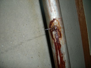 UNI_0022.JPG